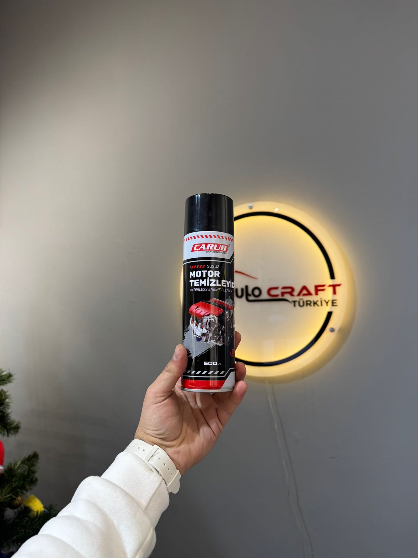 CARUB MOTOR TEMİZLEME